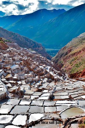 maras-y-moray-1552149919